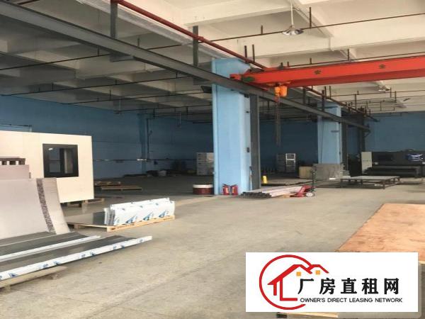 
清溪北环路旁一楼厂房1300平方现成行车原房东
