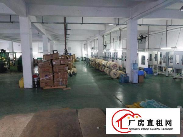 
清溪北环路旁一楼厂房1300平方现成行车原房东