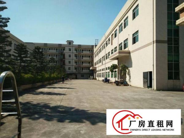 
清溪东深高速旁一楼厂房2200平方高度6.5米