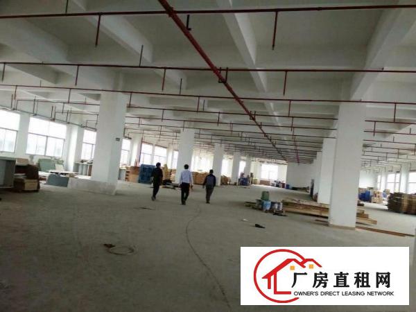
清溪东深高速旁一楼厂房2200平方高度6.5米