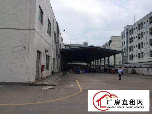 
清溪金桥工业区楼上1500平标准厂房精装修分租
