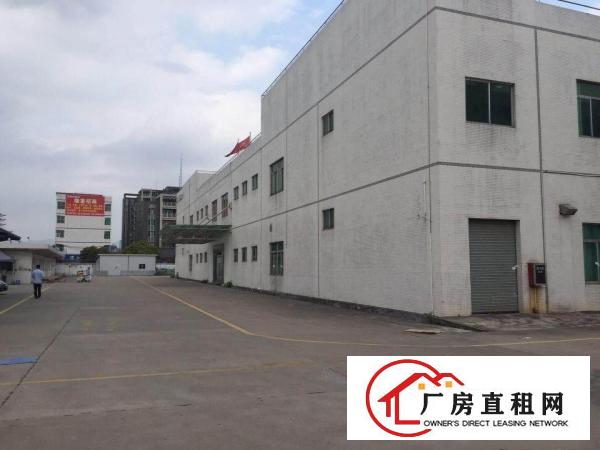 
清溪金桥工业区楼上1500平标准厂房精装修分租
