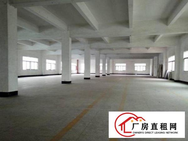 
出租清溪厂房！原房东独院5800平方一楼高5.5米