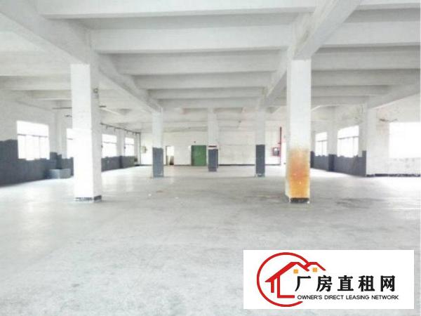 
出租清溪厂房！原房东独院5800平方一楼高5.5米