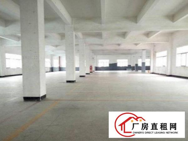 
出租清溪厂房！原房东独院5800平方一楼高5.5米