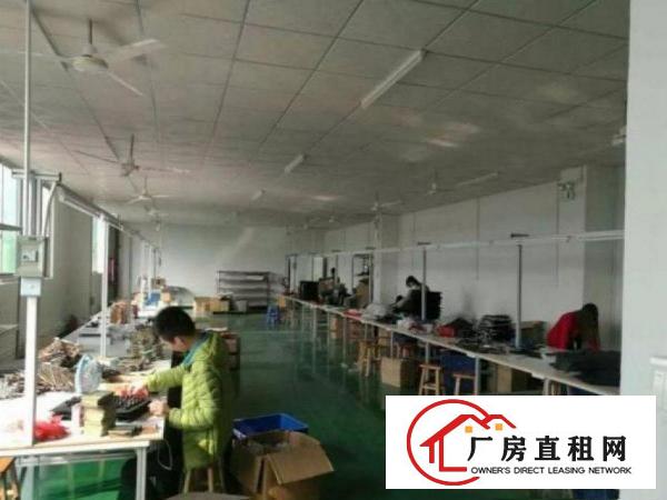 
出租清溪厂房三楼900平米！有办公室装修