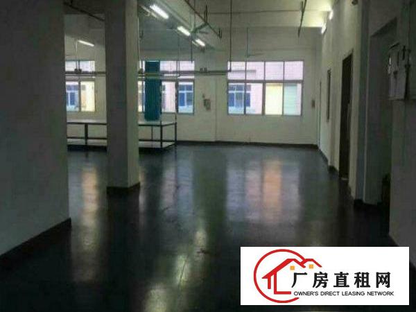 
清溪三中新出分租二楼1000平米招租