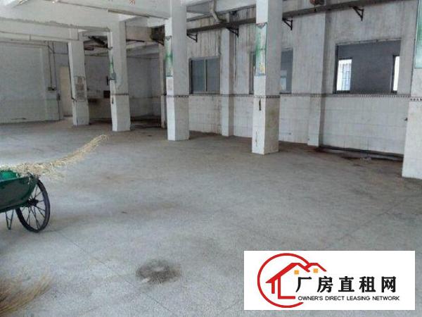 
清溪重河原房东标准厂房一楼出租1200平米水电齐全交通便利