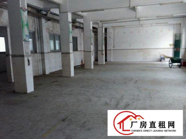 
清溪重河原房东标准厂房一楼出租1200平米水电齐全交通便利