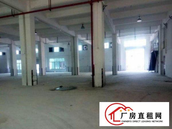 
清溪大埔标准厂房一楼1000平方出租空地大