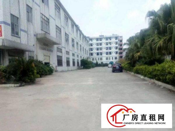 
清溪大埔标准厂房一楼1000平方出租空地大