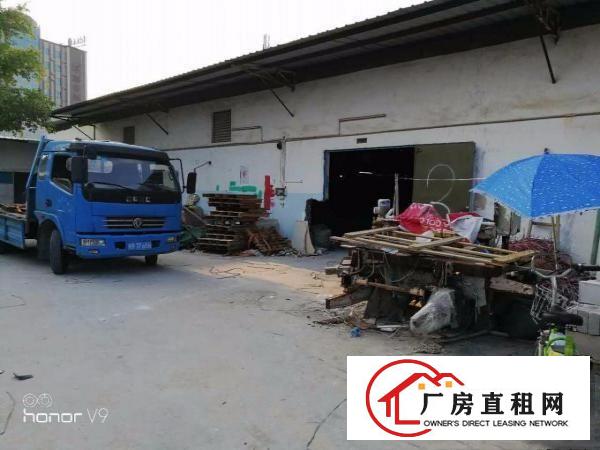 
！！清溪临路边1000平方米单一层独院厂房招租（塑胶，设备）
