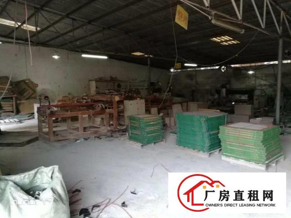 
！！清溪临路边1000平方米单一层独院厂房招租（塑胶，设备）