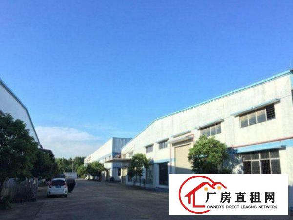 
清溪钢构厂房1800平米交通便利火爆招租