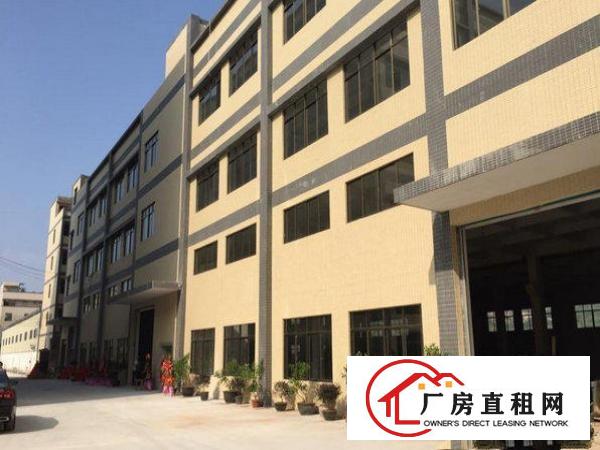 
急租！清溪铁场全新一楼厂房950平方带牛角出租