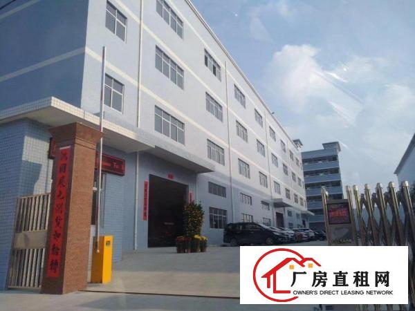 
厂房出租紧临凤岗塘厦大小厂房出租