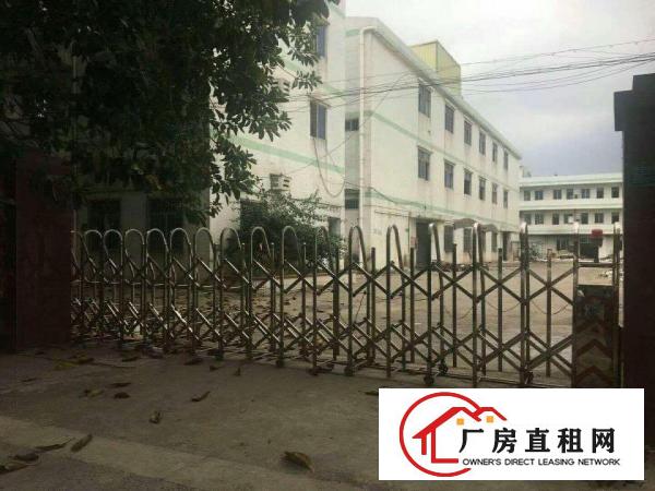 
厂房出租紧临凤岗塘厦大小厂房出租