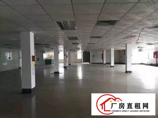 
清溪清厦2500平方独门独院厂房出租