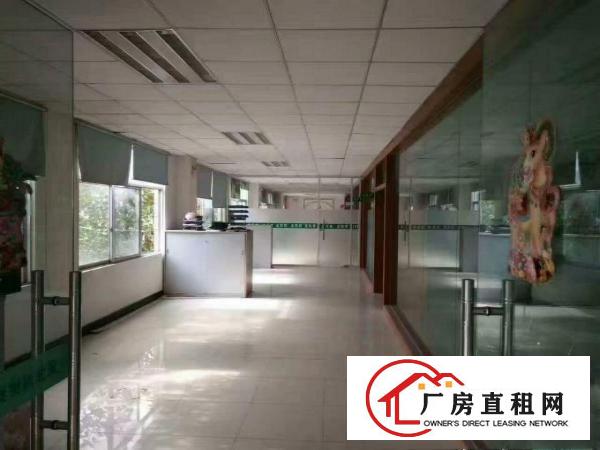 
清溪铁松新出花园式2300平米带豪华装修厂房出租