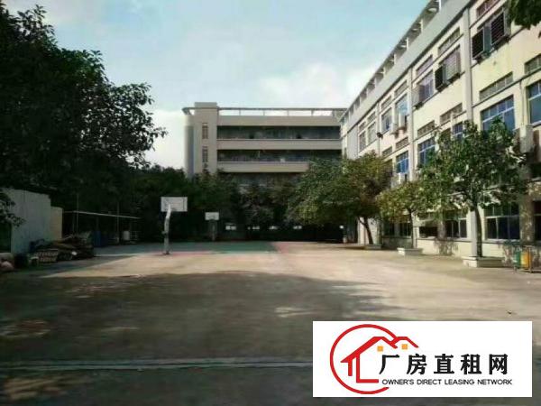 
清溪铁松新出花园式2300平米带豪华装修厂房出租
