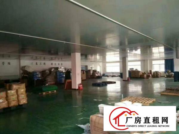 
清溪铁松新出花园式2300平米带豪华装修厂房出租