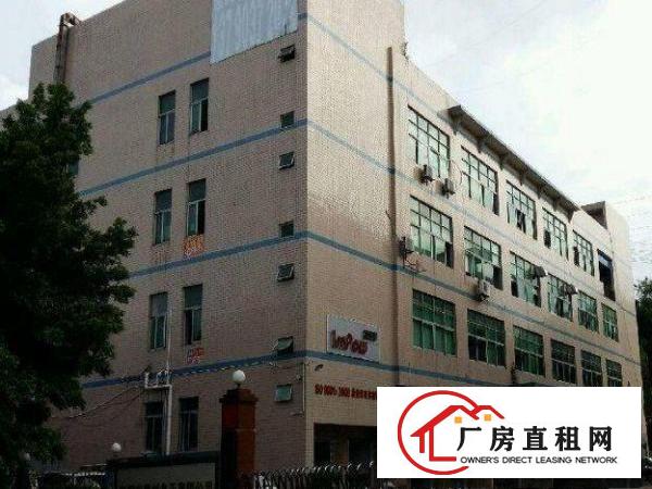 
清溪铁场附近楼上800平米厂房招租带地坪漆
