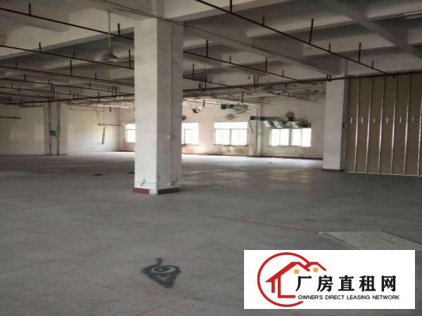 
清溪镇5200独院已装修业主直租