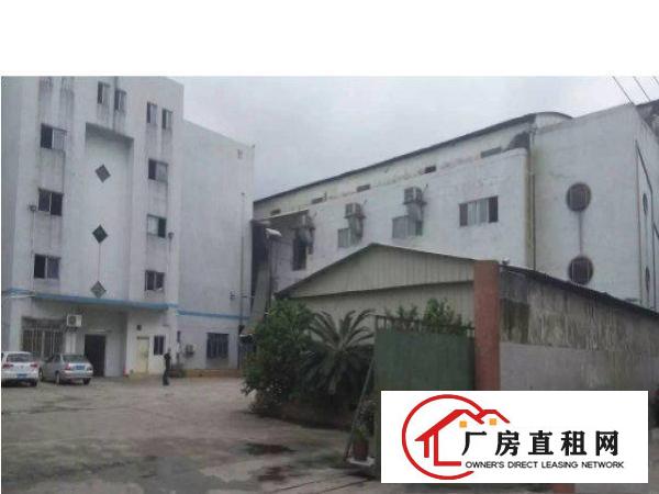 
清溪清厦新出标准一楼1400平方厂房有装修
