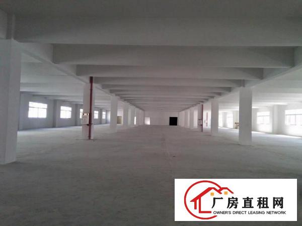 
清溪大利新出二楼厂房3000平方米精装办公室溪