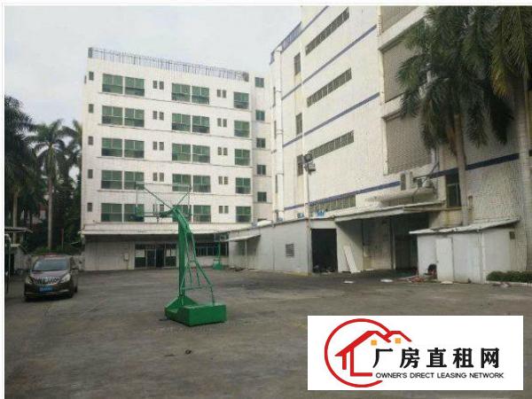 
清溪长山头新出楼上500平米厂房马路边上