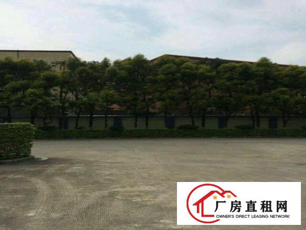 
约场独院高八米带牛角交通方便厂房1200平米