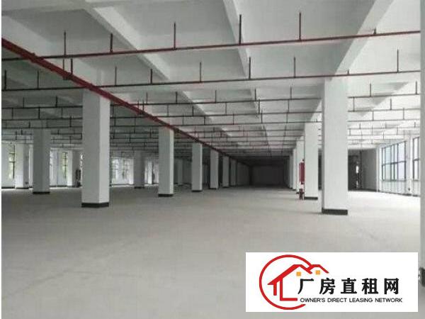 
清溪厂房标准一楼1500方环境优美火热招租