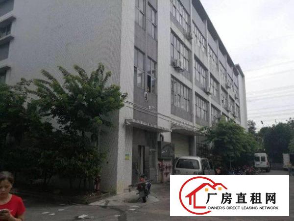 
清溪厂房标准一楼1500方环境优美火热招租