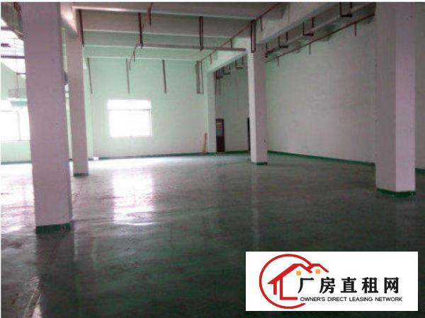 
出租清溪超靓标准厂房一楼1000方可分租