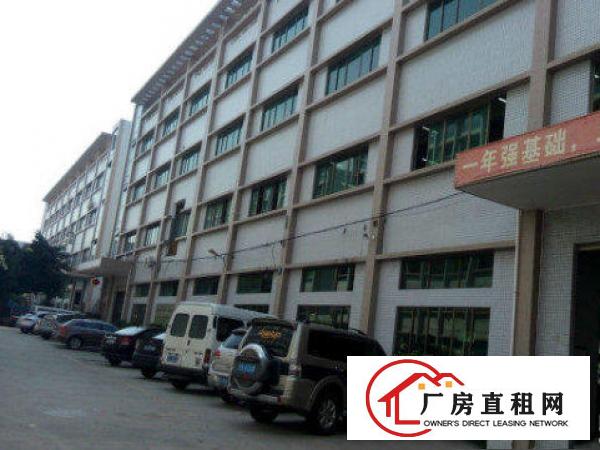 
出租清溪超靓标准厂房一楼1000方可分租