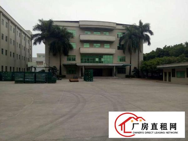 
清溪镇原房东实际面积2461平方，滴水9米带行车，独立办公室