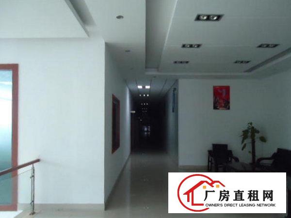 
谢坑工业区刚空出三楼500平标准厂房带电梯