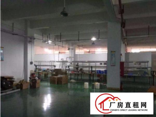 
清溪镇中心区标准一楼厂房1200平方带办公室水电齐全