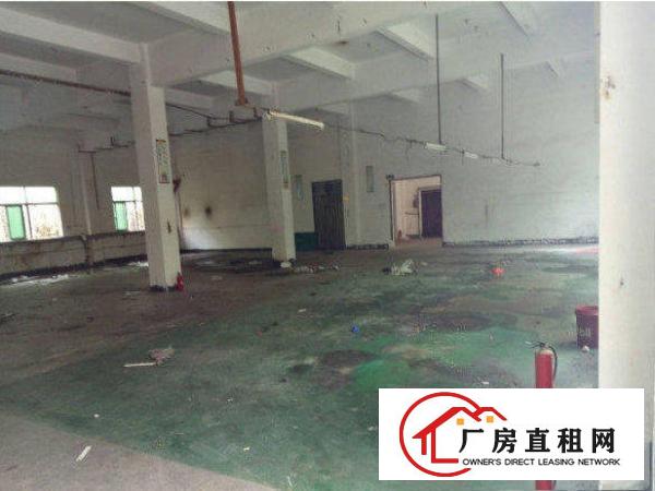 
近高速！！清溪铁场村一楼800平米厂房现成水电