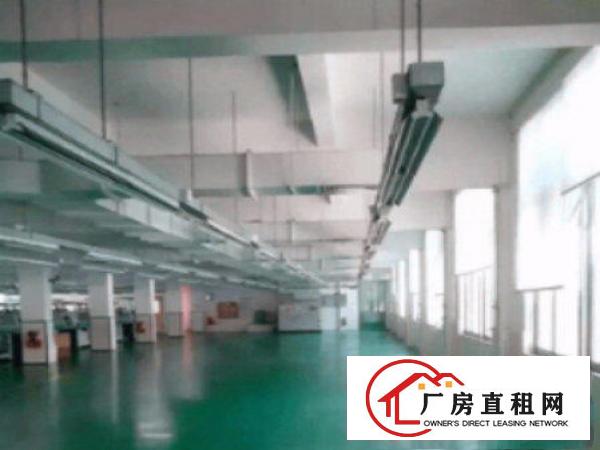 
清溪黄江附近标准厂房一楼900平出租水电齐全空地大交通方便