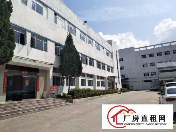 
清溪镇松岗标准厂房一楼1350平出租交通方便水电齐全
