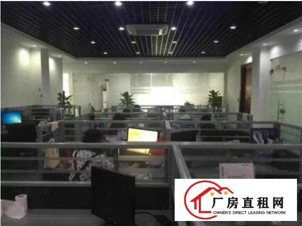 
清溪标准厂房一楼2000平环境优美火爆招租