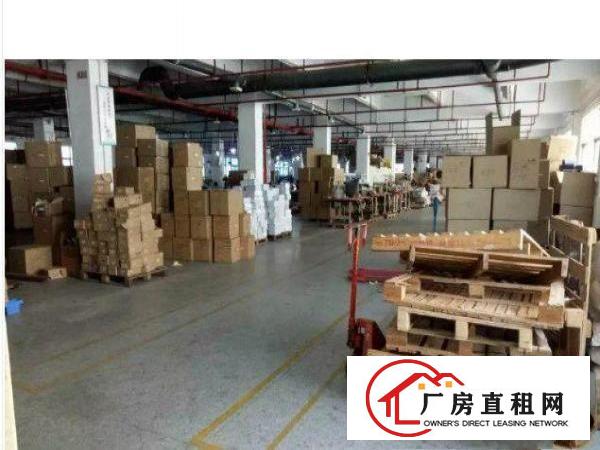 
清溪标准厂房一楼2000平环境优美火爆招租