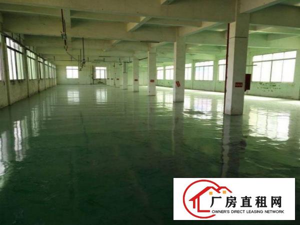 
谢坑工业区附近8000平方独门独院标准厂房可分租