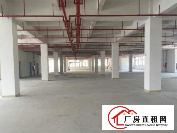 
清溪土桥新空出原房东楼上厂房出租3200平方，带消防喷淋