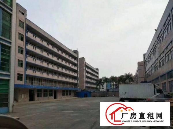 
清溪大利空出独院一楼厂房2000平方，首层楼高5米
