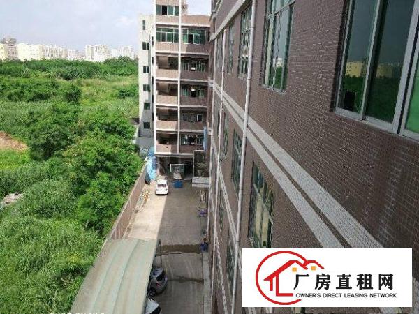 
清溪青皇楼上1000平有装修带水电