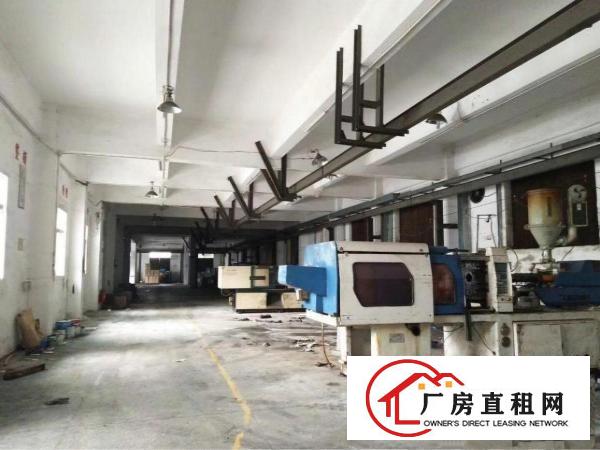 
清溪新出800平方一楼，20块钱，现成装修，