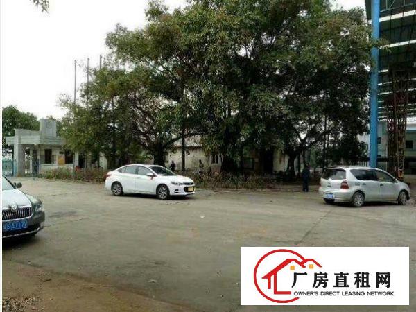 
清溪清厦新出1200平高9米钢构厂房招租