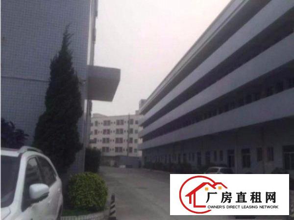 
清溪樟木头独院标准厂房一楼1200平方出租精装修拎包入驻